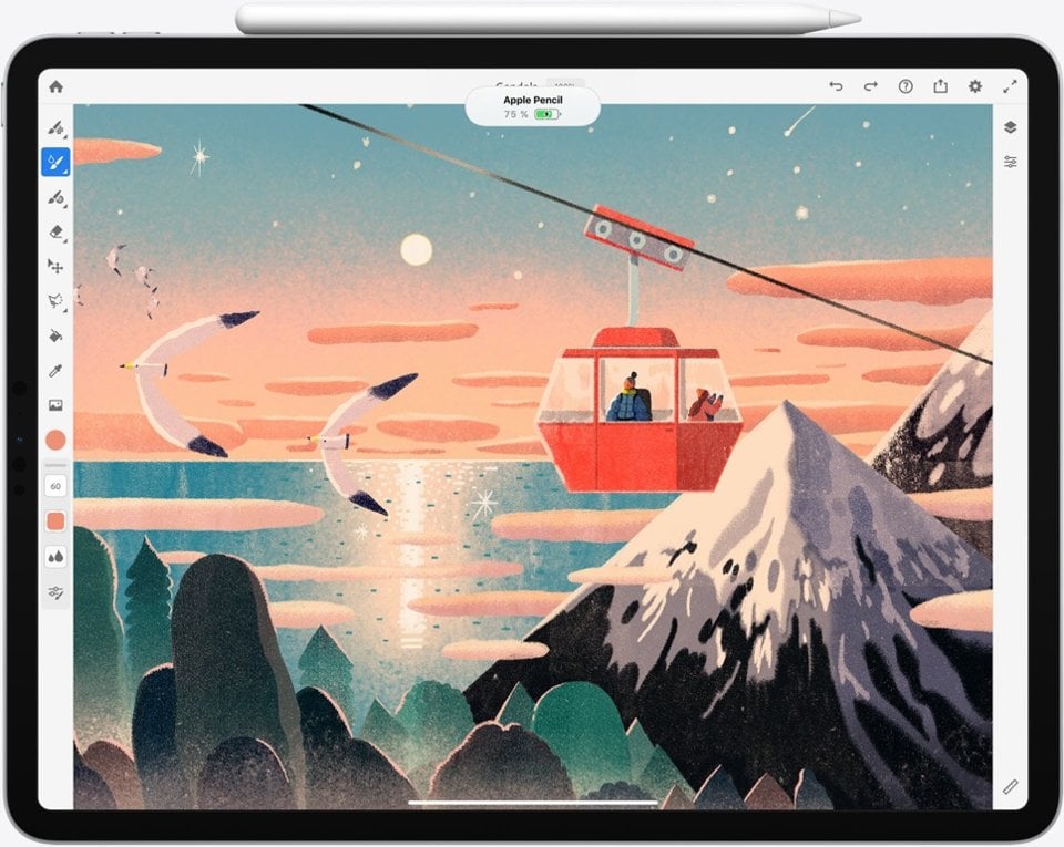 Apple Ipad Pro 11 2020 - vue 13