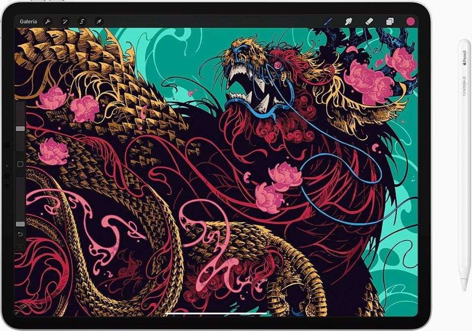 Apple Ipad Pro 12 9 2020 - vue 12