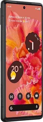 Google Pixel 6 - vue 3