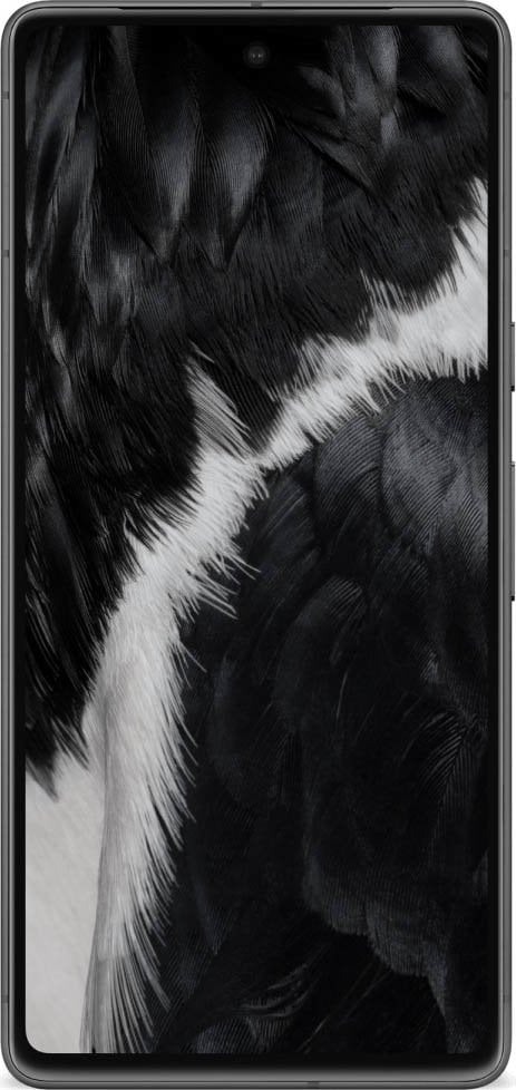 Google Pixel 7 - vue 18