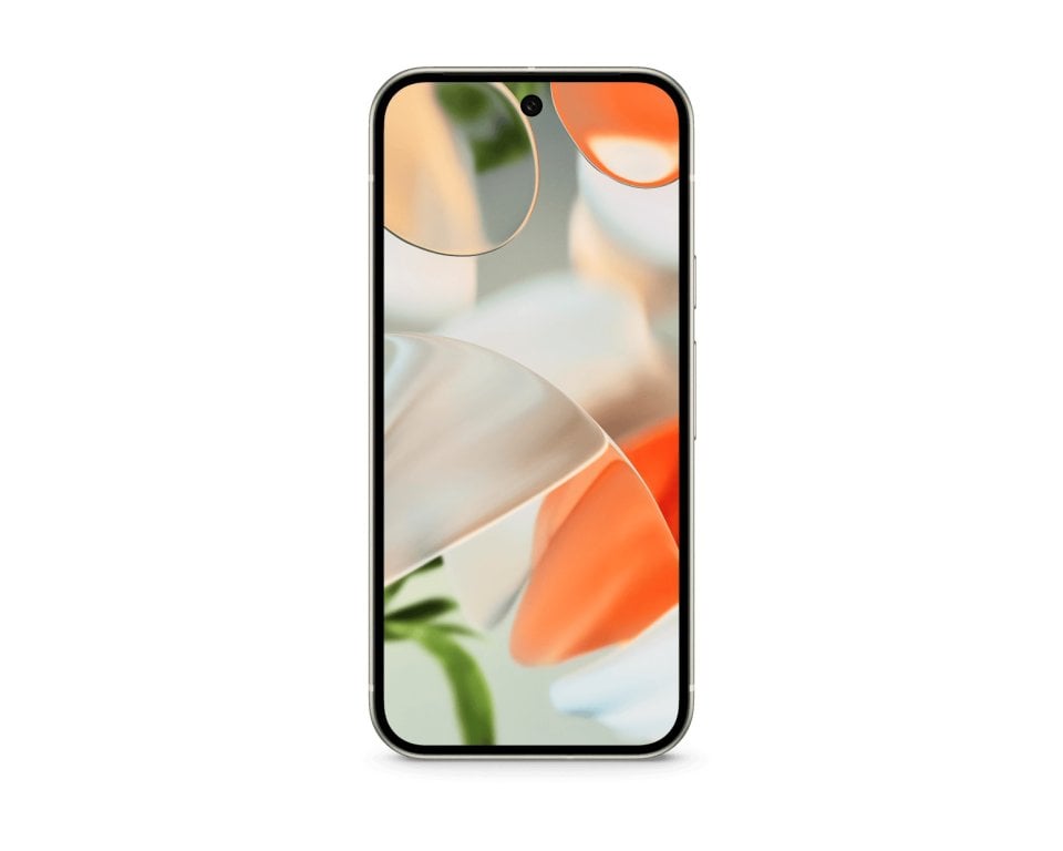 Google Pixel 9 - vue 2