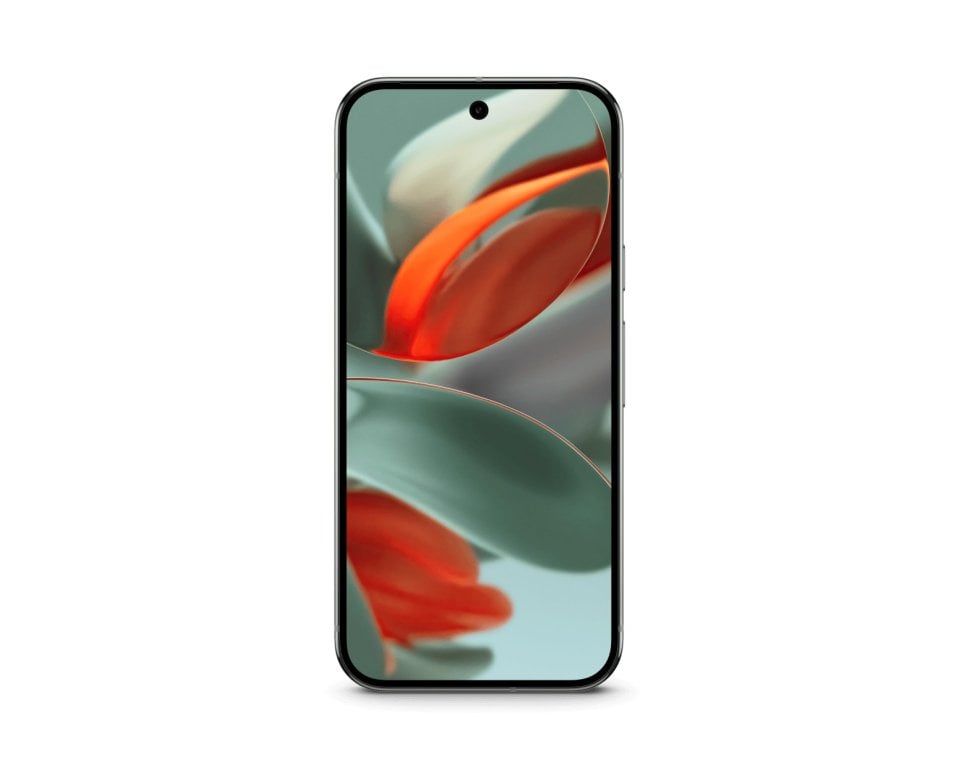 Google Pixel 9 Pro - vue 2