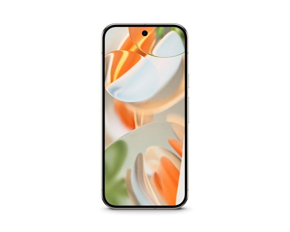 Google Pixel 9 Pro - vue 3