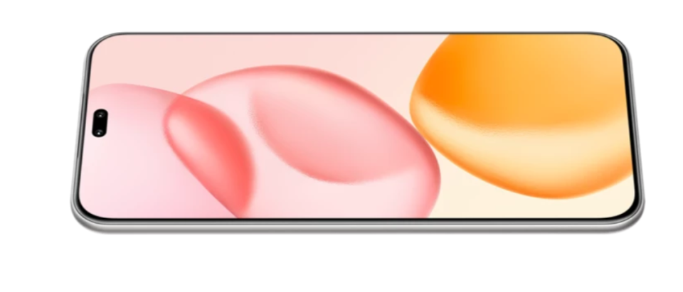 Honor 400 Pro - vue 6