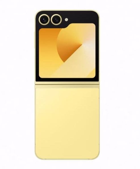 Samsung Galaxy Z Flip6 - vue 15