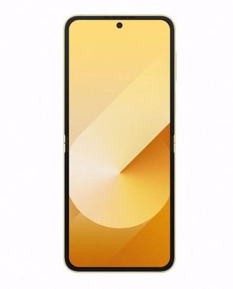 Samsung Galaxy Z Flip6 - vue 19